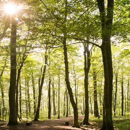 게스트하우스 Restaurant & Logis Steuerndieb 하노버